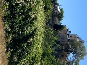 chapiteaux-cahors