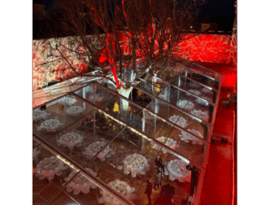 Vue aérienne d'une réception nocturne sous une tente transparente avec éclairage rouge et tables fleuries autour d'un arbre