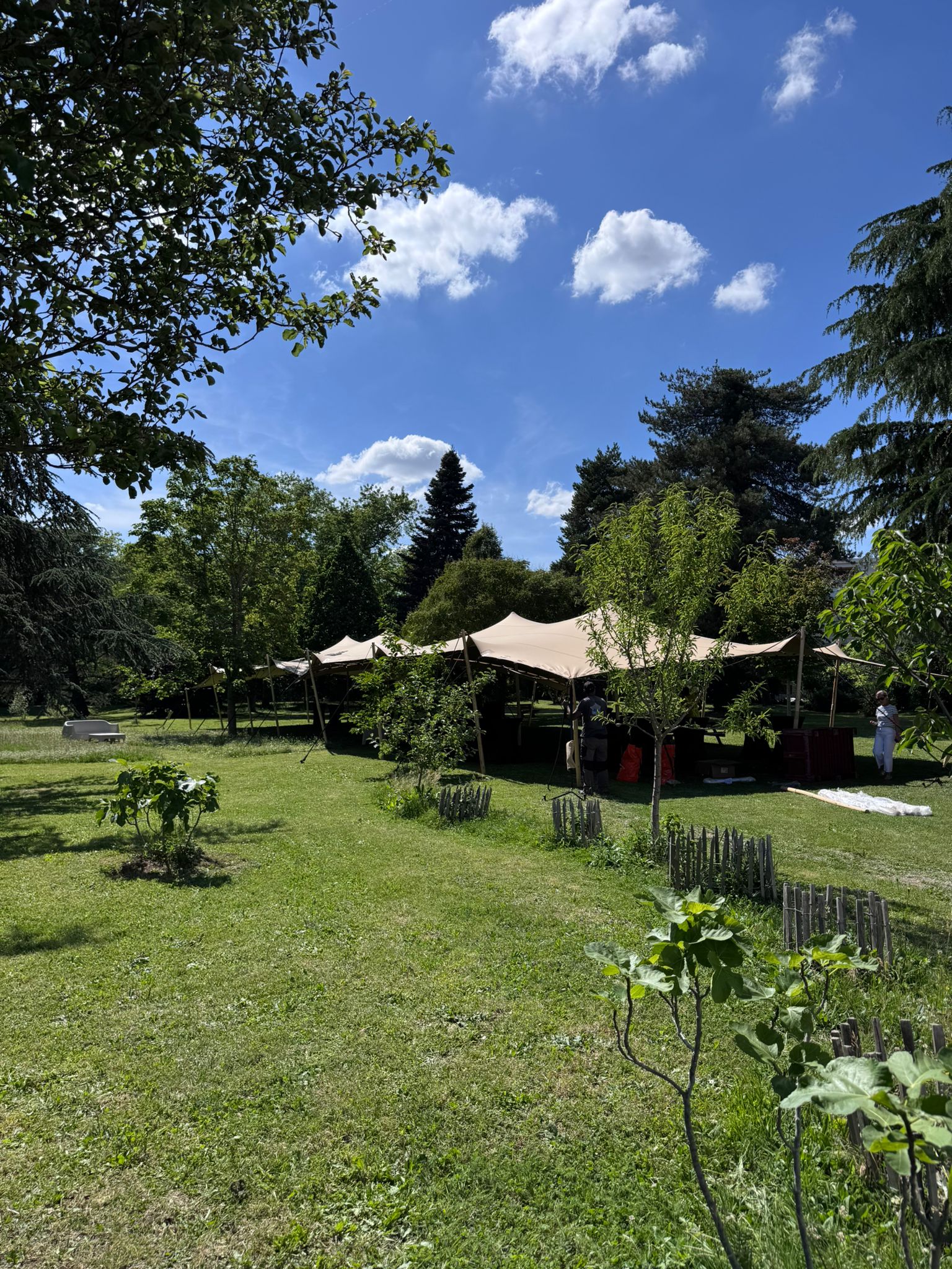 Grande tente stretch beige installée dans un parc verdoyant sous un ciel bleu nuageux pour un événement.
